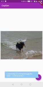 Image Captioning Scene Descriptor